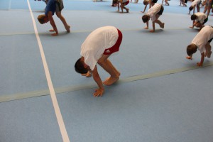 IMG 0591